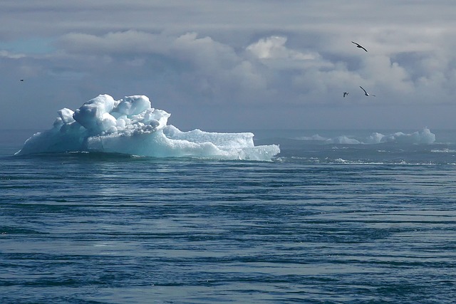 Comment les animaux s’adaptent aux changements climatiques