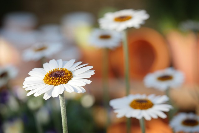 Quels outils et matériaux sont nécessaires pour créer un jardin