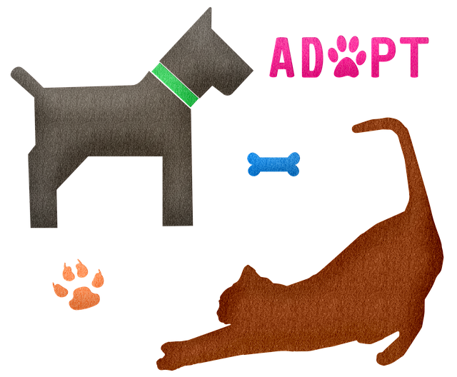 Pourquoi adopter plutôt qu'acheter un animal de compagnie ?