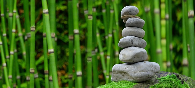 Aménager un jardin zen : principes et inspirations pour un espace de détente